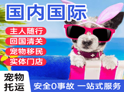 石河子花园机场快运国际宠物托运 【国